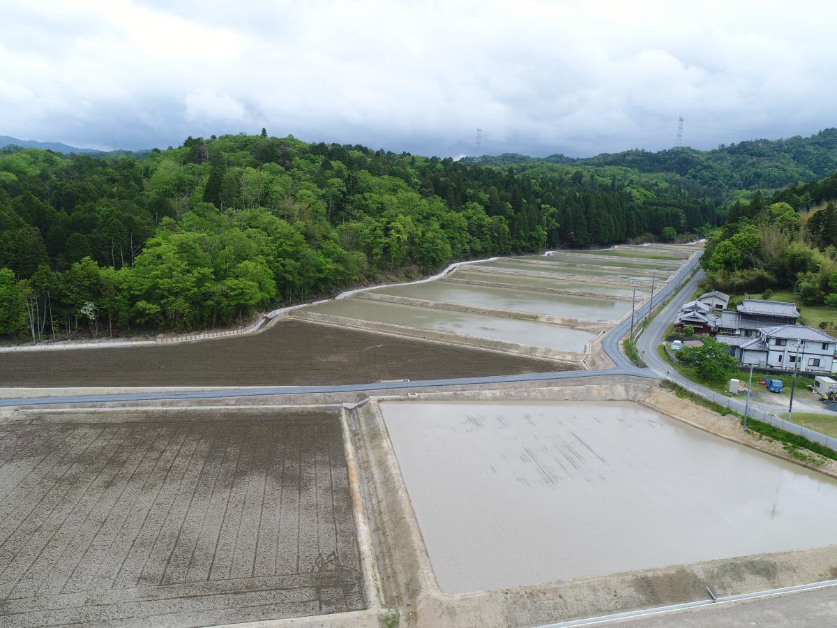 令和2年度第１号　杉山地区ほ場整備第１工事